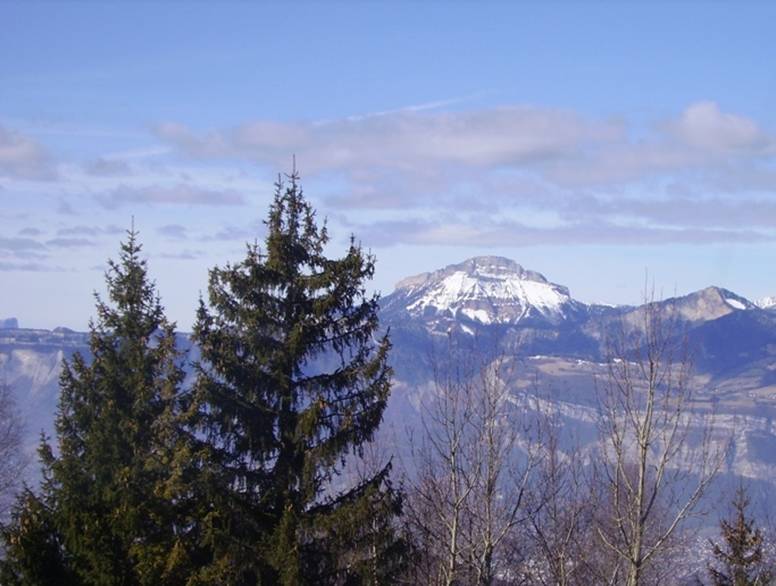 Vue de la fenêtre
